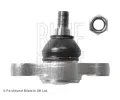 ep ramene BLUE PRINT ‐ BLP ADG08627