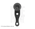 ep ramene BLUE PRINT ‐ BLP ADG08629