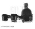 BLUE PRINT ep ramene BLP ADG086290, ADG086290