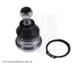 ep ramene BLUE PRINT ‐ BLP ADG08636