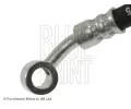BLUE PRINT Brzdov hadice BLP ADH253169, ADH253169