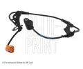 Snma potu otek kol BLUE PRINT ‐ BLP ADH27172