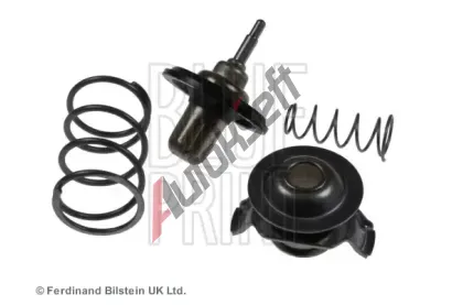 BLUE PRINT Termostat chladiva BLP ADJ139204, ADJ139204