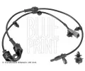 Snma potu otek kol BLUE PRINT ‐ BLP ADK87110