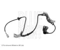 Snma potu otek kol BLUE PRINT ‐ BLP ADM57116