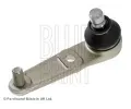 ep ramene BLUE PRINT ‐ BLP ADM58607