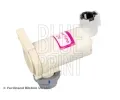 Vodn epadlo ostikovae skel BLUE PRINT ‐ BLP ADN10318