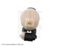 BLUE PRINT Vodn epadlo ostikovae skel BLP ADN10326, ADN10326