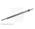 havic svka BLUE PRINT ‐ BLP ADN11828