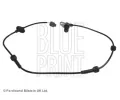 Snma potu otek kol BLUE PRINT ‐ BLP ADN17119C