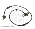 Snma potu otek kol BLUE PRINT ‐ BLP ADN17124