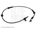Snma potu otek kol BLUE PRINT ‐ BLP ADN17129