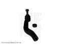 BLUE PRINT ep zen BLP ADN187245, ADN187245
