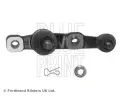 ep ramene BLUE PRINT ‐ BLP ADT386119