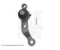 ep ramene BLUE PRINT ‐ BLP ADT386120