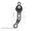 ep ramene BLUE PRINT ‐ BLP ADT386130