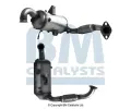 Filtr pevnch stic BM CATALYSTS ‐ BMC BM11363HP