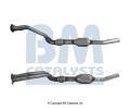 BM CATALYSTS Katalyztor Approved ‐ BMC BM90391H
