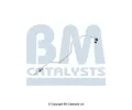 Tlakov� potrub�, tlakov� senzor (filtr saz� a pevn�ch ��stic)&nbsp;BM CATALYSTS&nbsp;&dash;&nbsp;BMC PP31073B