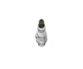 BOSCH Zapalovac svka Dvojit iridium BO 0242129519, 0 242 129 519