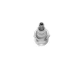 BOSCH Zapalovac svka BO 0242215801, 0 242 215 801