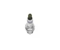 BOSCH Zapalovac svka Double Iridium p2p BO 0242236670, 0 242 236 670