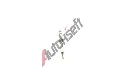 BOSCH havic svka Duraterm BO 0250213007, 0 250 213 007