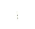 BOSCH havic svka Duraterm BO 0250213007, 0 250 213 007