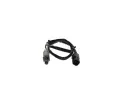 BOSCH Lambda sonda BO 0258003820, 0 258 003 820