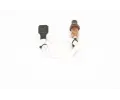 BOSCH Lambda sonda BO 0258010029, 0 258 010 029