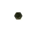 BOSCH Senzor teploty / tlaku oleje BO 0261230482, 0 261 230 482