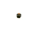 BOSCH Senzor klepn BO 0261231337, 0 261 231 337