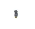 BOSCH Vstikovac ventil BO 0280156070, 0 280 156 070