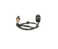 BOSCH Lambda sonda BO 0281004488, 0 281 004 488