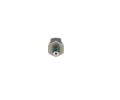 BOSCH Snma tlaku paliva BO 0281006507, 0 281 006 507