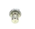 BOSCH Tlak paliva pvodnho palivovho systmu BO 0438170052, 0 438 170 052