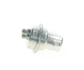 BOSCH Tlak paliva - pvodn palivov systm BO 0438170061, 0 438 170 061