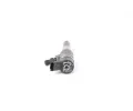 BOSCH Vstikovac tryska BO 0445110252, 0 445 110 252