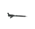 BOSCH Vstikovac tryska BO 0445110253, 0 445 110 253