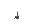 BOSCH Vstikovac tryska BO 0445110323, 0 445 110 323