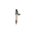BOSCH Vstikovac tryska BO 0445110700, 0 445 110 700