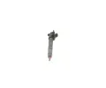 BOSCH Vstikovac tryska BO 0445116045, 0 445 116 045