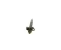 BOSCH Vstikovac tryska BO 0445116064, 0 445 116 064