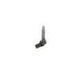 BOSCH Vstikovac tryska BO 0445117019, 0 445 117 019