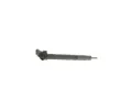 BOSCH Vstikovac tryska BO 0445117026, 0 445 117 026