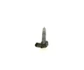 BOSCH Vstřikovací tryska BO 0445117054, 0 445 117 054