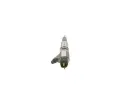 BOSCH Vstikovac tryska BO 0445120157, 0 445 120 157