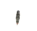 BOSCH Vstikovac tryska BO 0445120302, 0 445 120 302