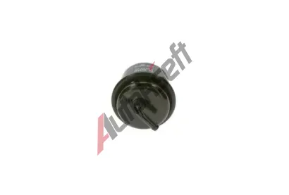 BOSCH Palivov filtr BO 0450905920, 0 450 905 920