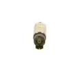 BOSCH Palivov erpadlo BO 0580454093, 0 580 454 093